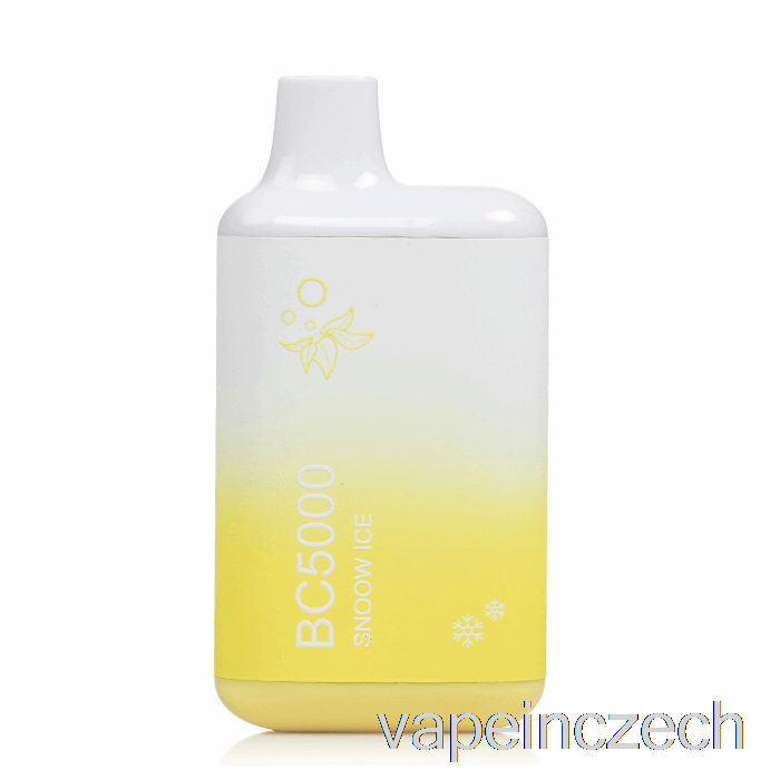 Bc5000 Jednorázové Snoow Ice Vape Pero